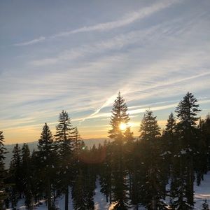 Meet your Posher, Ellie